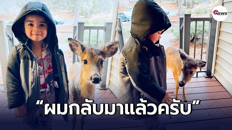 เด็กชาย ชาวอเมริกัน เดินหายเข้าป่า ก่อนกลับมาพร้อมรอยยิ้มและเพื่อนใหม่