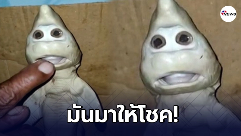 ชาวประมงอินโดฯ พบ "ปลาฉลามหน้าคล้ายคน" เชื่อจะนำโชคลาภมาให้