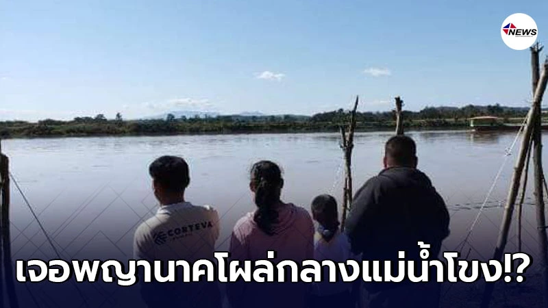 ชาวบ้านริมน้ำโขงฮือฮา พบพญานาคโผล่ส่ายหัวไปมากลางแม่น้ำ ชาวบ้านริมน้ำโขงฮือฮา พบพญานาคโผล่ส่ายหัวไปมากลางแม่น้ำ
