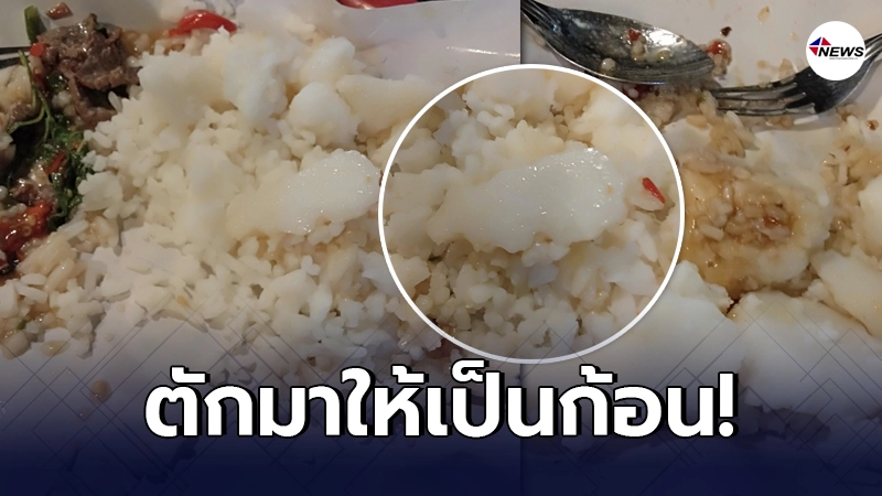 สาวหิวข้าว สั่ง "ผัดกะเพรา" ใส่กล่องมากินที่บ้าน เปิดออกมาเห็นสภาพข้าว สาวหิวข้าว สั่ง "ผัดกะเพรา" ใส่กล่องมากินที่บ้าน เปิดออกมาเห็นสภาพข้าว