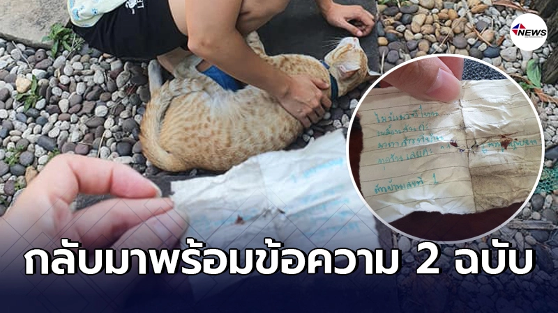 เจ้าของปวดขมับ แมวหายออกจากบ้านไปเมื่อคืน กลับมาพร้อมข้อความ 2 ฉบับ เจ้าของปวดขมับ แมวหายออกจากบ้านไปเมื่อคืน กลับมาพร้อมข้อความ 2 ฉบับ