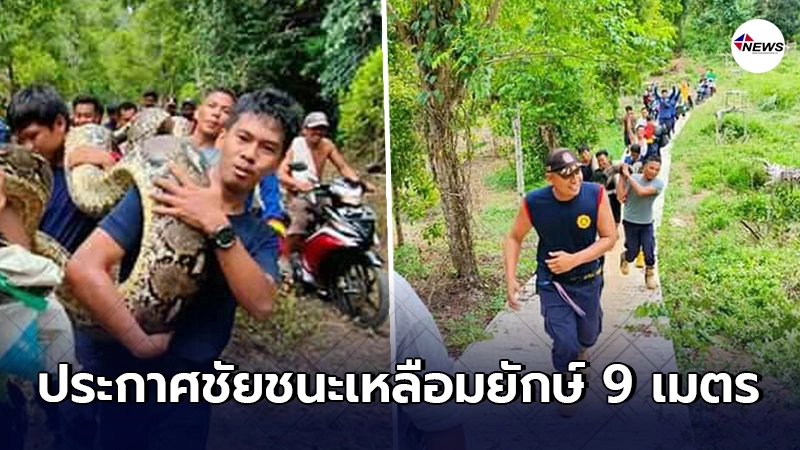 "งูเหลือม"9เมตรบุกจู่โจมชาวบ้าน ก่อนสิ้นฤทธิ์ ต้องใช้คนถึง 6 คนแบกมัน "งูเหลือม"9เมตรบุกจู่โจมชาวบ้าน ก่อนสิ้นฤทธิ์ ต้องใช้คนถึง 6 คนแบกมัน