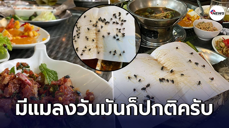 หนุ่มพูดไม่ออกไปนั่งทานร้านอาหารดัง เจอแมลงวันบินเล่นเต็มโต๊ะ หนุ่มพูดไม่ออกไปนั่งทานร้านอาหารดัง เจอแมลงวันบินเล่นเต็มโต๊ะ