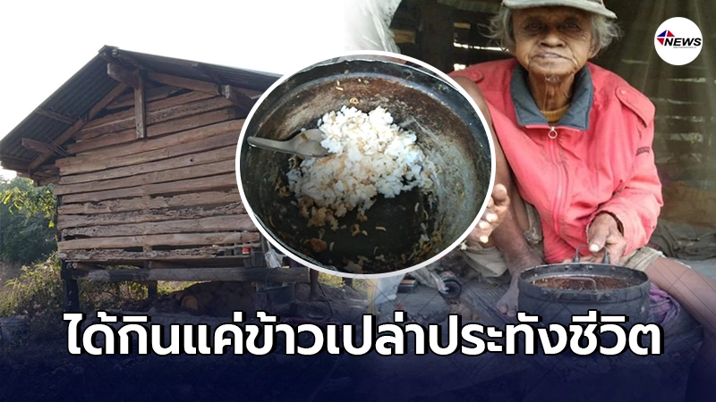 คุณตาอาศัยเพิงไม้อยู่กลางป่าเพียงลำพัง กินข้าวเปล่าประทังชีวิต คุณตาอาศัยเพิงไม้อยู่กลางป่าเพียงลำพัง กินข้าวเปล่าประทังชีวิต