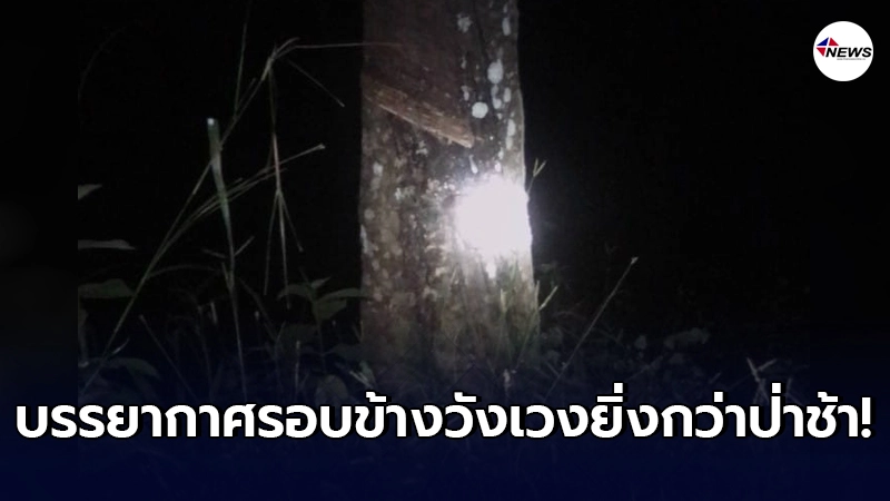 สาววัย 26 ปี เผยประสบการณ์สุดท้อทำอาชีพ กรีดยาง คนเดียวเกือบ 1,000 ต้น