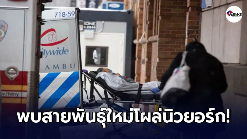 สหรัฐฯป่วยโควิด-19 กลายพันธุ์เกือบ 2,000 ราย สายพันธุ์ใหม่โผล่นิวยอร์ก สหรัฐฯป่วยโควิด-19 กลายพันธุ์เกือบ 2,000 ราย สายพันธุ์ใหม่โผล่นิวยอร์ก