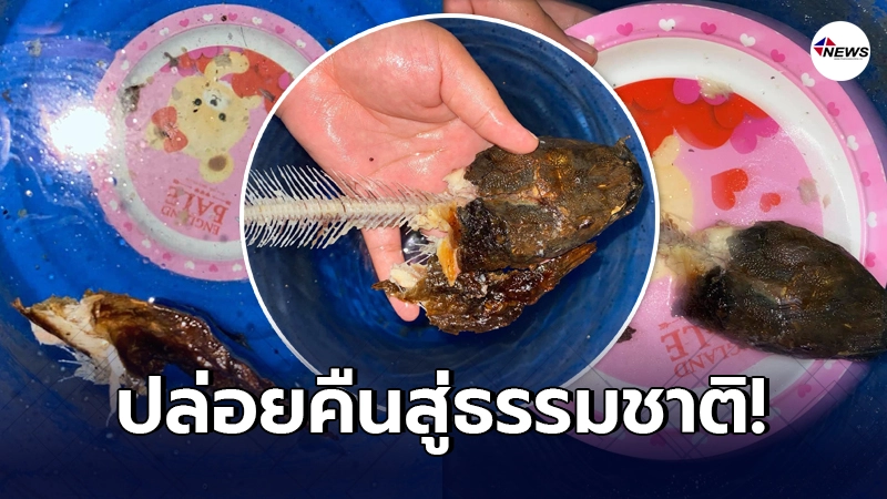 คนเป็นแม่ใจคอไม่ดี เห็นลูกชายไม่ยอมกินข้าว ก่อนหายตัวไปพร้อมจานและซาก คนเป็นแม่ใจคอไม่ดี เห็นลูกชายไม่ยอมกินข้าว ก่อนหายตัวไปพร้อมจานและซาก