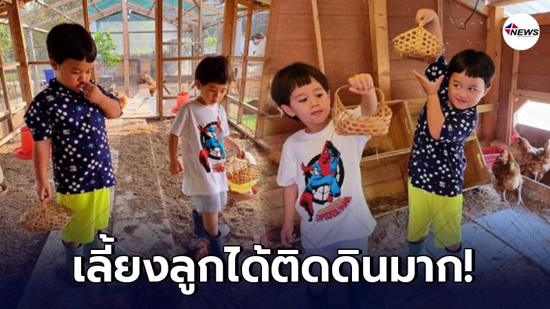 แม่ชมพู่ อารยา พาทายาทหมื่นล้าน น้องสายฟ้า-น้องพายุ เดินเก็บไข่ในเล้า แม่ชมพู่ อารยา พาทายาทหมื่นล้าน น้องสายฟ้า-น้องพายุ เดินเก็บไข่ในเล้า