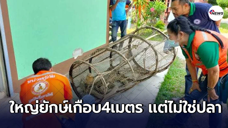 หนุ่มนำไซไปดักปลาในคลอง ใหญ่เกือบ4ม.ไม่มีใครกล้าจับ ต้องรีบเเจ้งกู้ภัย หนุ่มนำไซไปดักปลาในคลอง ใหญ่เกือบ4ม.ไม่มีใครกล้าจับ ต้องรีบเเจ้งกู้ภัย
