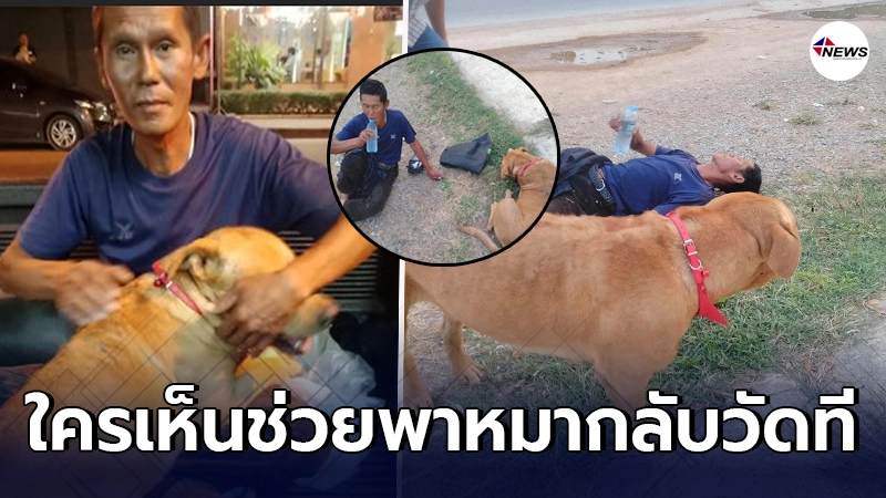 โอละพ่อ ลุงพาหมาเดินกลับบ้าน สุดท้ายเรื่องแหกตา เรียกความสงสาร โอละพ่อ ลุงพาหมาเดินกลับบ้าน สุดท้ายเรื่องแหกตา เรียกความสงสาร