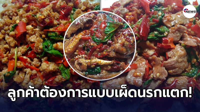 แม่ค้าตะหลิวสั่น เจอลูกค้ากำชับอยากได้ "กะเพรา" แบบเผ็ดนรกแตก แม่ค้าตะหลิวสั่น เจอลูกค้ากำชับอยากได้ "กะเพรา" แบบเผ็ดนรกแตก