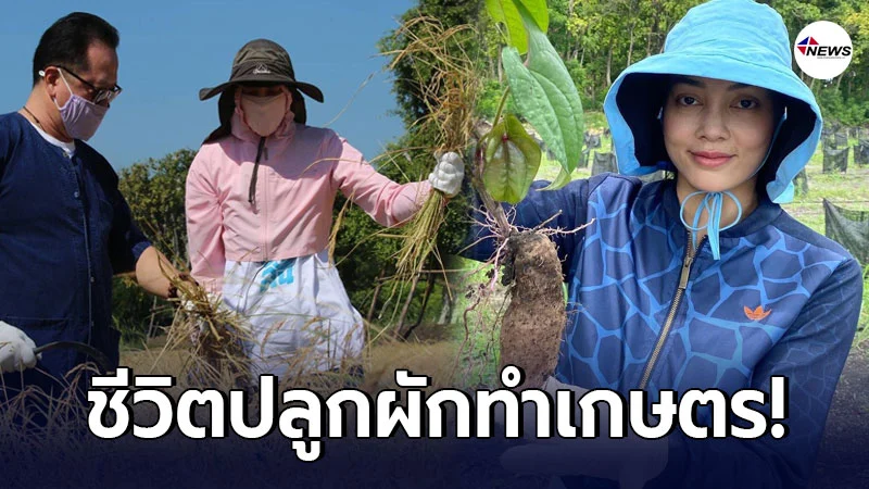 "ตั๊ก บงกช" ภรรยาเจ้าสัวพันล้าน ผันชีวิตปลูกผัก มุ่งศึกษาการทำเกษตร "ตั๊ก บงกช" ภรรยาเจ้าสัวพันล้าน ผันชีวิตปลูกผัก มุ่งศึกษาการทำเกษตร