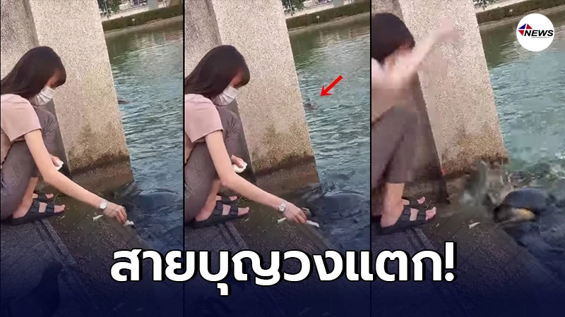สาวสุดระทึก ให้อาหารเต่าริมแม่น้ำ ก่อนมีแขกไม่ได้รับเชิญ โผล่มาต่อหน้า