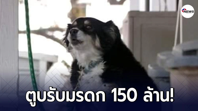 เศรษฐีสี่ขา "สุนัขมะกัน" รับมรดก 150 ล้าน จากเจ้าของที่เสียชีวิต