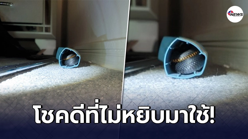 สาวออสซี่หวิดดับ เจองูพิษอันตราย แอบเข้าไปซ่อนตัว อยู่ในยาพ่นแก้หอบ สาวออสซี่หวิดดับ เจองูพิษอันตราย แอบเข้าไปซ่อนตัว อยู่ในยาพ่นแก้หอบ