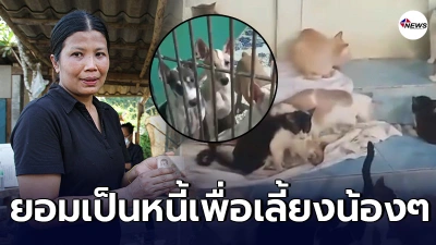 กราบความดี สาวน้ำใจงาม ยอมเป็นหนี้หลักล้าน เพื่อให้น้องหมา แมว ได้อิ่มท้อง