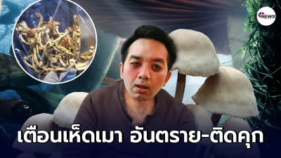 หมอแล็บแพนด้าเตือน เห็ดเมาระบาด ระวังอันตรายถึงชีวิต หมอแล็บแพนด้าเตือน เห็ดเมาระบาด ระวังอันตรายถึงชีวิต