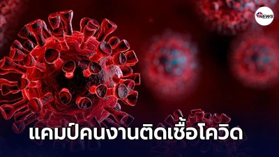 พบคลัสเตอร์ แคมป์คนงานก่อสร้าง ติดเชื้อโควิดแล้ว 17ราย