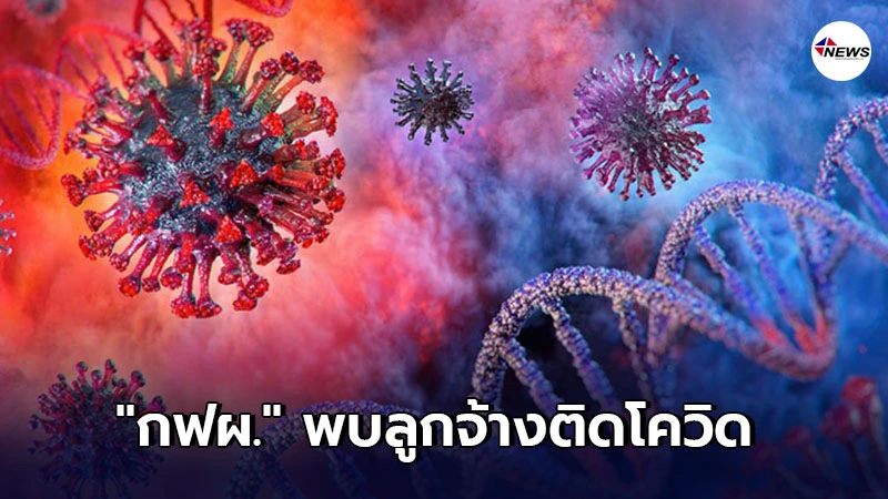 กฟผ. พบลูกจ้างเหมาบริษัท 1 รายติดเชื้อโควิด สั่งปิดอาคารชั่วคราว กฟผ. พบลูกจ้างเหมาบริษัท 1 รายติดเชื้อโควิด สั่งปิดอาคารชั่วคราว