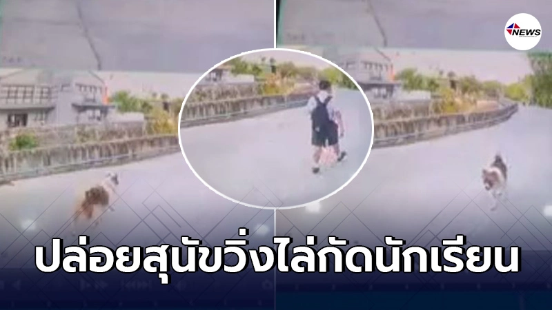 เจ้าของสุนัขบางเเก้วสุดชุ่ย บ้านอยู่หน้าโรงเรียนปล่อยสุนัขวิ่งไล่กัด เจ้าของสุนัขบางเเก้วสุดชุ่ย บ้านอยู่หน้าโรงเรียนปล่อยสุนัขวิ่งไล่กัด