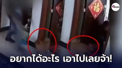 เจ้าของสุดเงิบ หลังโจรขึ้นบ้าน ก่อนเปิดกล้องดูเจอเต็มๆ ตูบน้อยเล่นกับโจร!