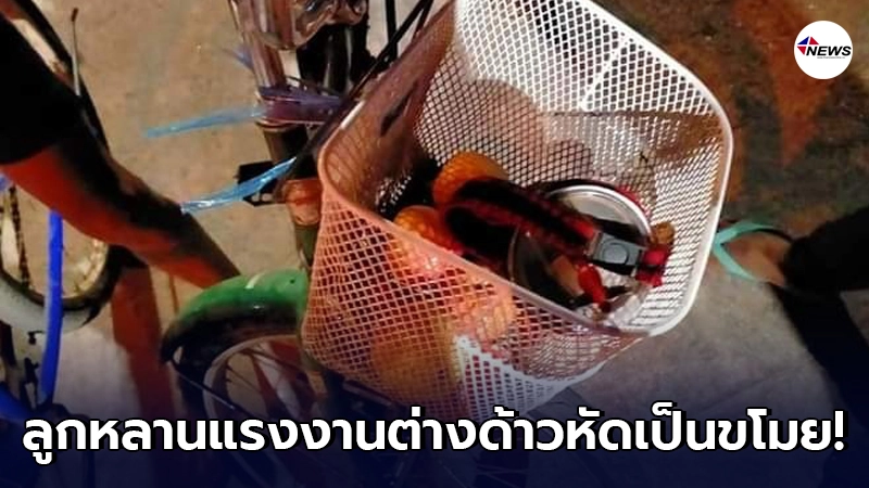 สาวเตือนภัย แก๊งต่างด้าววัยกระเตาะหัดเป็นขโมย จับได้สารภาพเสียงอ่อย สาวเตือนภัย แก๊งต่างด้าววัยกระเตาะหัดเป็นขโมย จับได้สารภาพเสียงอ่อย