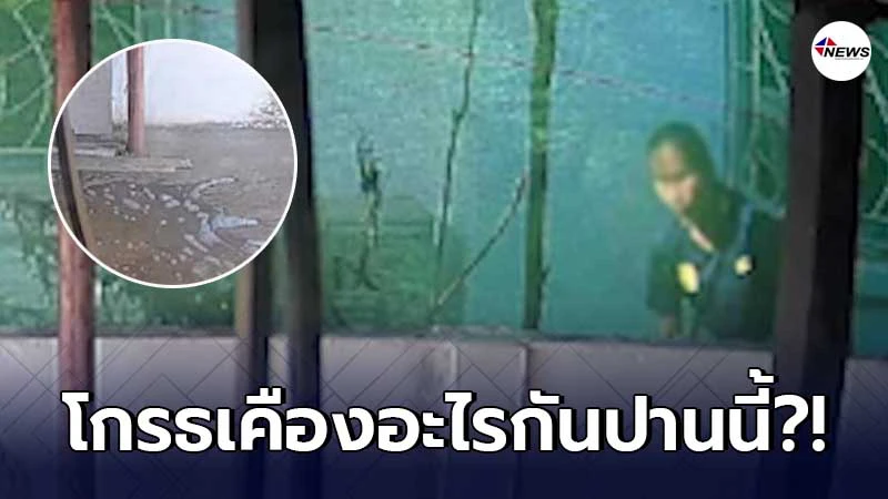 สาวสุดงงถูกเพื่อนบ้านตัวดีสาดของเสียใส่บ้านส่งกลิ่นเหม็นเน่าไปทั่ว สาวสุดงงถูกเพื่อนบ้านตัวดีสาดของเสียใส่บ้านส่งกลิ่นเหม็นเน่าไปทั่ว