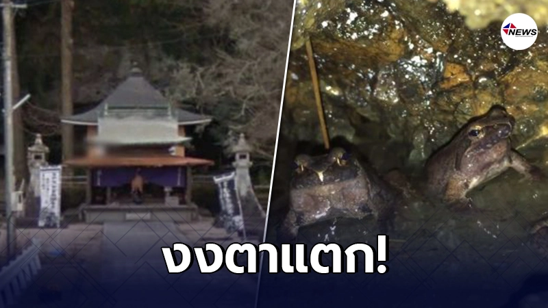 สาวญี่ปุ่น ได้ยินเสียงหมาเห่าในป่า เรียกตำรวจมาช่วย สุดท้ายกลายเป็นกบ สาวญี่ปุ่น ได้ยินเสียงหมาเห่าในป่า เรียกตำรวจมาช่วย สุดท้ายกลายเป็นกบ