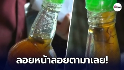 "แมลงสาบ" ลอยหน้าลอยตาในขวดน้ำจิ้มบ๊วยเจ้าดัง ทั้งๆที่ยังไม่ได้เปิดฝา "แมลงสาบ" ลอยหน้าลอยตาในขวดน้ำจิ้มบ๊วยเจ้าดัง ทั้งๆที่ยังไม่ได้เปิดฝา