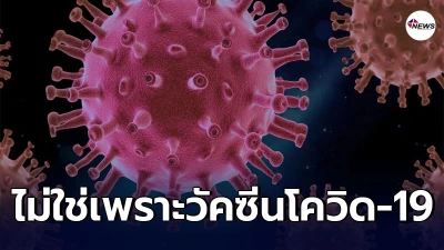 เปิดไทม์ไลน์ ผู้รับวัคซีนโควิด-19 แล้วเสียชีวิต ยันไม่ใช่เพราะวัคซีน เปิดไทม์ไลน์ ผู้รับวัคซีนโควิด-19 แล้วเสียชีวิต ยันไม่ใช่เพราะวัคซีน