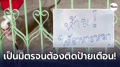 สาวเลี้ยงพิทบูล ไร้วี่แววความดุร้าย เป็นมิตรกับคน จนต้องติดป้ายเตือน