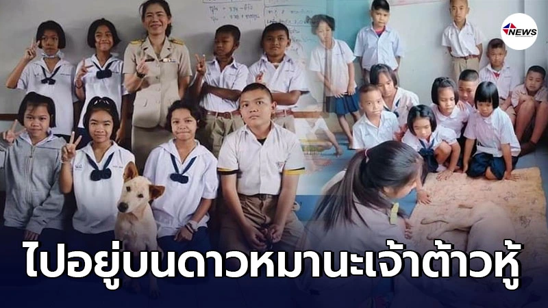 ครูสาว โพสต์เศร้าอาลัย เจ้าต้าวหู้ หนึ่งในสมาชิกห้องเรียน ชั้นป.5 ครูสาว โพสต์เศร้าอาลัย เจ้าต้าวหู้ หนึ่งในสมาชิกห้องเรียน ชั้นป.5