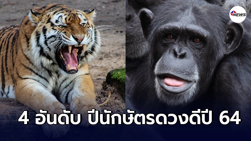 อ.ออย เผย 4 อันดับ ปีนักษัตรดวงดีที่สุดในปี 2564 อ.ออย เผย 4 อันดับ ปีนักษัตรดวงดีที่สุดในปี 2564