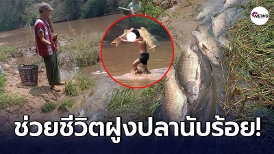 ชาวบ้านทนดูไม่ไหว ช่วยชีวิตฝูงปลา หลังหนีน้ำขุ่น จากวิกฤตฝนตกหนัก
