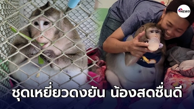 ชุดเหยี่ยวดงอัพเดทอาการเจ้าก็อตซิลล่า สดชื่น ไม่ตรอมใจ ดีกว่าเลี้ยงในตลาด