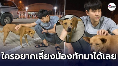 หนุ่มน้ำใจงาม หาบ้านให้สุนัขจร หลังเห็นมารอกินข้าวทุกวัน แถมฉีดวัคซีนให้ หนุ่มน้ำใจงาม หาบ้านให้สุนัขจร หลังเห็นมารอกินข้าวทุกวัน แถมฉีดวัคซีนให้