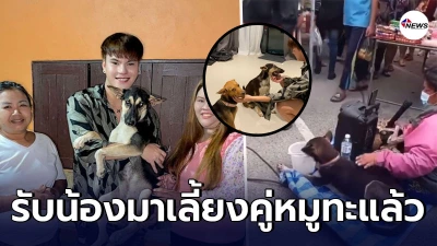กราบน้ำใจ บูม ยุทธภูมิ เจ้าของหมูกระทะ ตัดสินใจรับเลี้ยงน้องแป๊ปซี่