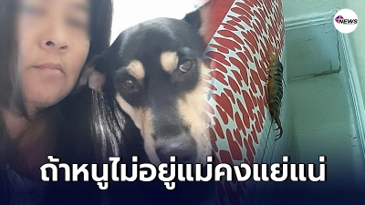 เจ้าตูบฮีโร่ร้องปลุกเจ้าของกลางดึกเพราะตะขาบยักษ์บุกถึงเตียง