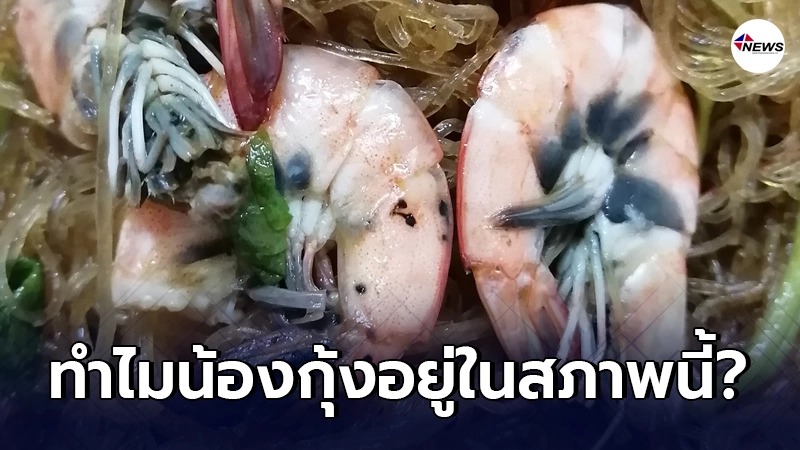 สาวสั่ง "กุ้งอบวุ้นเส้น" มากิน เอะใจพบจุดด่างดำ ตามหาง ตามเปลือกท้อง สาวสั่ง "กุ้งอบวุ้นเส้น" มากิน เอะใจพบจุดด่างดำ ตามหาง ตามเปลือกท้อง