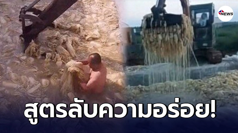 เกาหลีทนไม่ไหว แฉเบื้องหลัง บ่อกิมจิของจีน