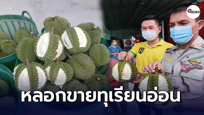 เจ้าหน้าที่บุกจับพ่อค้าหัวใส หลอกขายทุเรียนอ่อนประชาชน เจ้าหน้าที่บุกจับพ่อค้าหัวใส หลอกขายทุเรียนอ่อนประชาชน