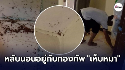 ผู้เช่าจิตตก พักอาศัยอยู่กับกองทัพ "เห็บหมา" ตกดึกแทบไม่ได้หลับได้นอน