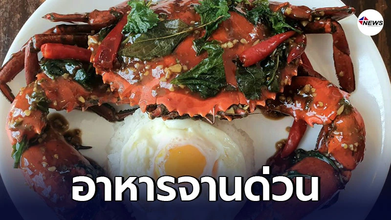 เผยภาพ อาหารจานด่วน กะเพราปู+ไข่ดาว เผยภาพ อาหารจานด่วน กะเพราปู+ไข่ดาว