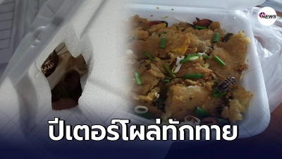 หนุ่มดวงซวย สั่งหอยทอดผ่านแอปฯ เจอแมลงสาบวิ่งออกมาทักทาย หนุ่มดวงซวย สั่งหอยทอดผ่านแอปฯ เจอแมลงสาบวิ่งออกมาทักทาย