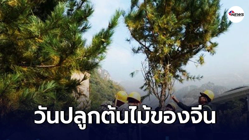 ปักกิ่ง ปลูกต้นไม้ สี่ทศวรรษ รวม 210 ล้านต้น ปักกิ่ง ปลูกต้นไม้ สี่ทศวรรษ รวม 210 ล้านต้น