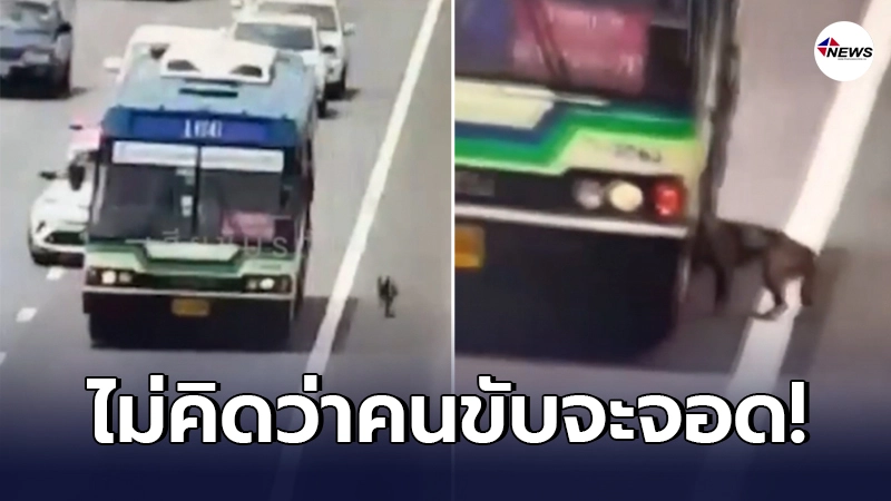คลิปคนขับรถเมล์สาย ปอ.166 จอดรถกลางถนน หลังมีผู้โดยสารสี่ขา ขอขึ้นกลางทาง คลิปคนขับรถเมล์สาย ปอ.166 จอดรถกลางถนน หลังมีผู้โดยสารสี่ขา ขอขึ้นกลางทาง