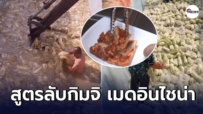 เปิดเบื้องหลังโรงงานทำ"กิมจิ"ในจีน คนงานลงไปเเหวกว่ายในบ่อหมัก เปิดเบื้องหลังโรงงานทำ"กิมจิ"ในจีน คนงานลงไปเเหวกว่ายในบ่อหมัก