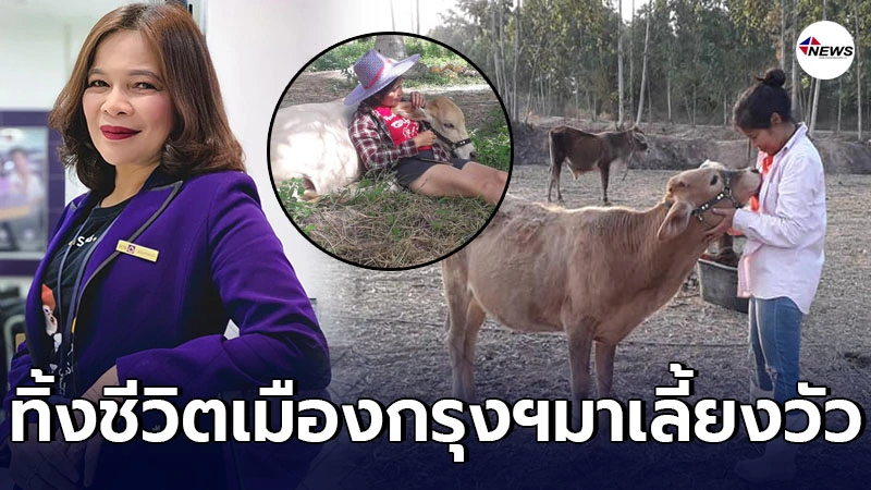 อดีตผจก.สาว ตัดสินใจโบกมือลางานธนาคาร ขอกลับบ้านไปเลี้ยงวัว อดีตผจก.สาว ตัดสินใจโบกมือลางานธนาคาร ขอกลับบ้านไปเลี้ยงวัว
