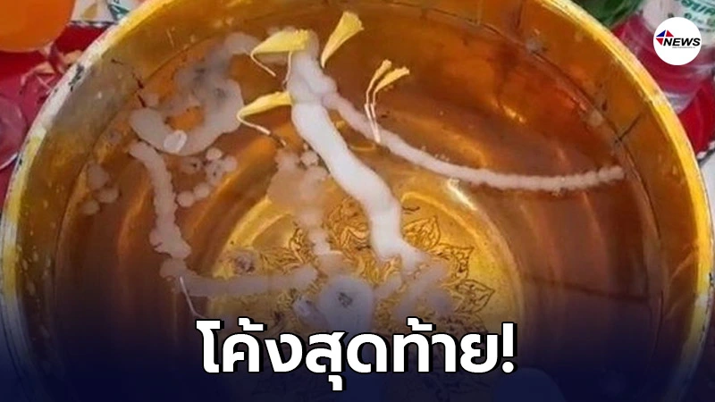 มาแรงแซงทุกโค้ง น้ำตาเทียนในขันน้ำมนต์ ที่คำชะโนดดินแดนพญานาค มาแรงแซงทุกโค้ง น้ำตาเทียนในขันน้ำมนต์ ที่คำชะโนดดินแดนพญานาค