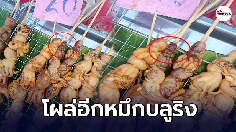 หนุ่มพบ หมึกบลูริง เสียบไม้ย่างขายในตลาด พิษอันตรายร้ายแรงกว่างูเห่า หนุ่มพบ หมึกบลูริง เสียบไม้ย่างขายในตลาด พิษอันตรายร้ายแรงกว่างูเห่า